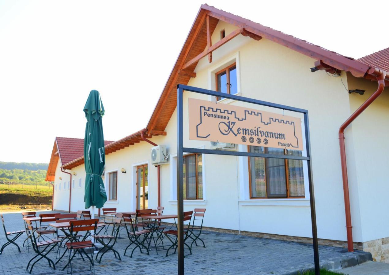 Pensiunea Kemsilvanum Fort Silvan Camar 外观 照片