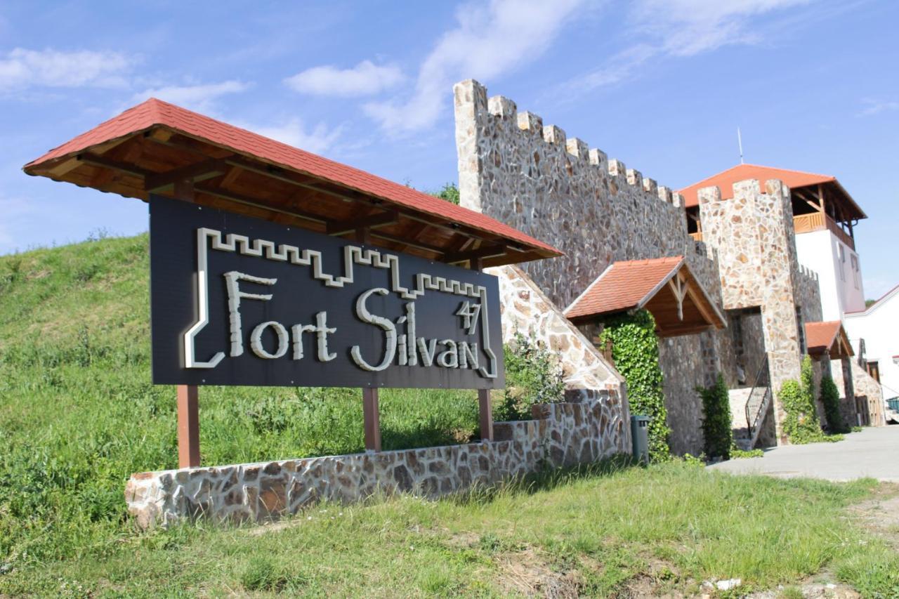 Pensiunea Kemsilvanum Fort Silvan Camar 外观 照片