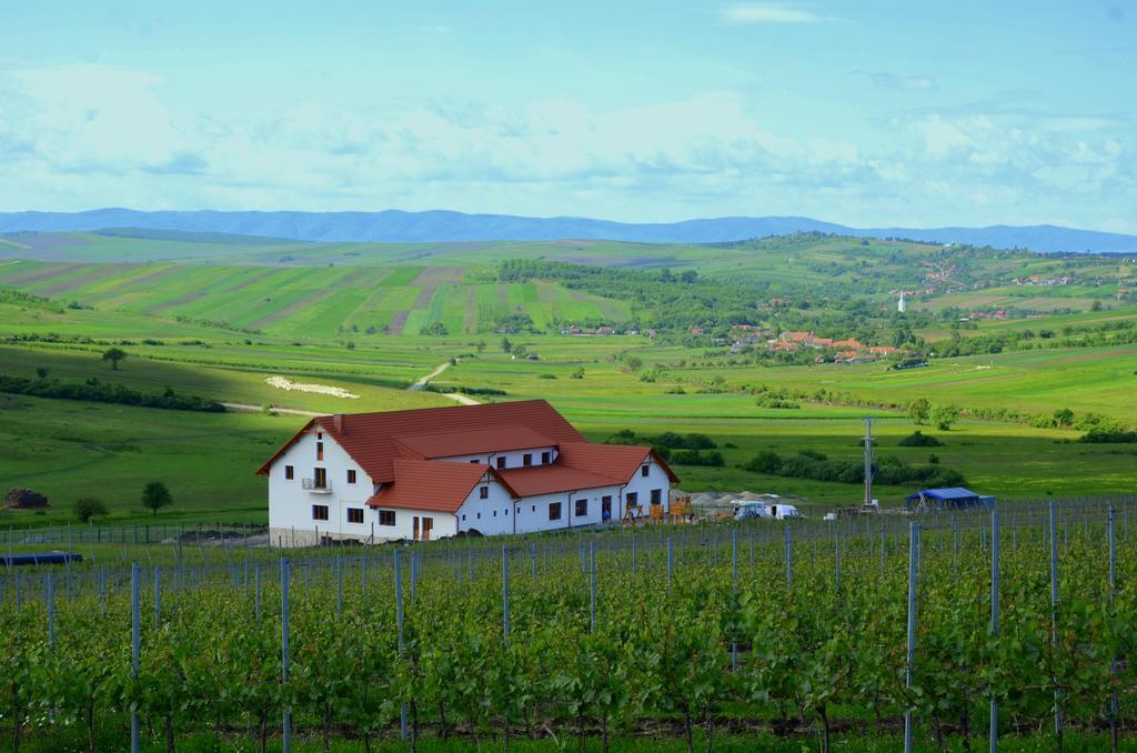 Pensiunea Kemsilvanum Fort Silvan Camar 外观 照片